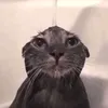 to59471