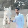 shahzad_sherazi_572