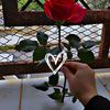 user6293215080269