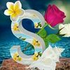 user2801240374509
