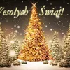 kacperbednarek443