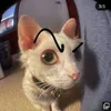 dancilxdd