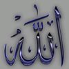 waheedmurad264