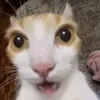 mariee1ris