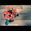 userkvbbp7c15w