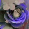 axx.lff