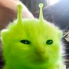 gatauuuajaaa23
