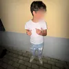 ale_13_20