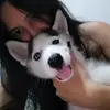 nicole_kt93