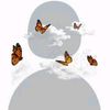 nur_ar2