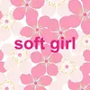 soft_omie