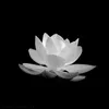 huong_nguyen280