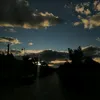 selma_ferras0