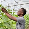 suheyb_agro1
