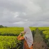 afiqoot