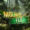 molniya_fly