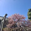 jin_final