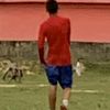 anmolpakhreen