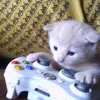 gamerka.kotelka