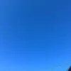 mr736585