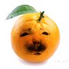 el_williud