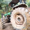parjalang146317372686
