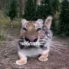 no.name74683