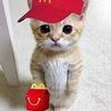 userisalivethanks
