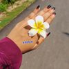 asha_6735