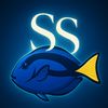 ss316silly