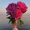 ergashboyeva24