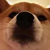 byromlouis