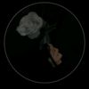 user791046561820