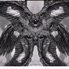 pureblood601