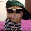 mejia_505_