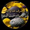omoday272