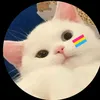 mae_aninha2