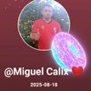 miguelcalix07