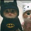 rulzz123_2