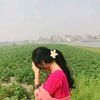 subona256