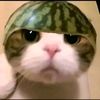 mieayam.12345