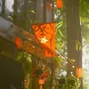 nguyenxuantruong230