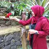 rinasendiri