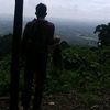 daungkpandan5