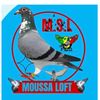 ndiathabou58gmail.com06