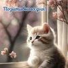 user2051480422660