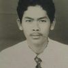 papagaul031