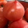 kochi.tomato_3000