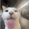 kyrie_533