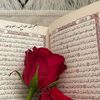 user3eldvq9v71